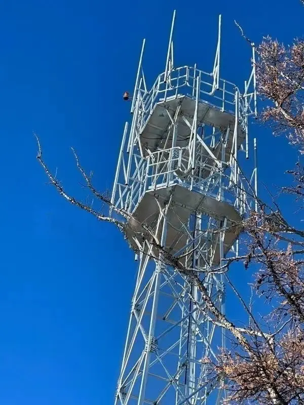 Mongolia Telecom Towers